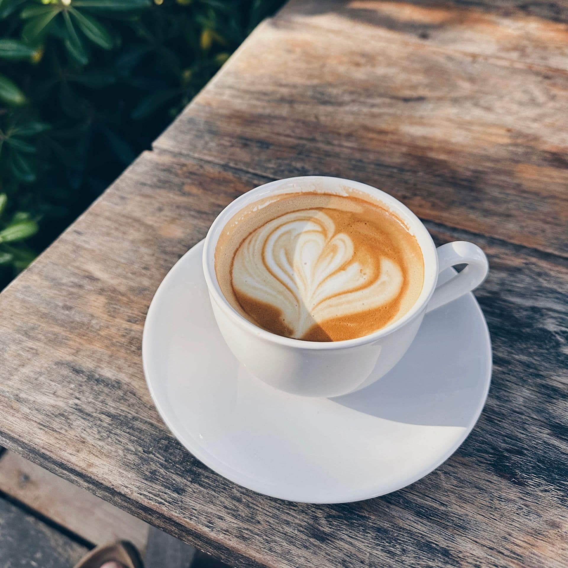 Mesa & café