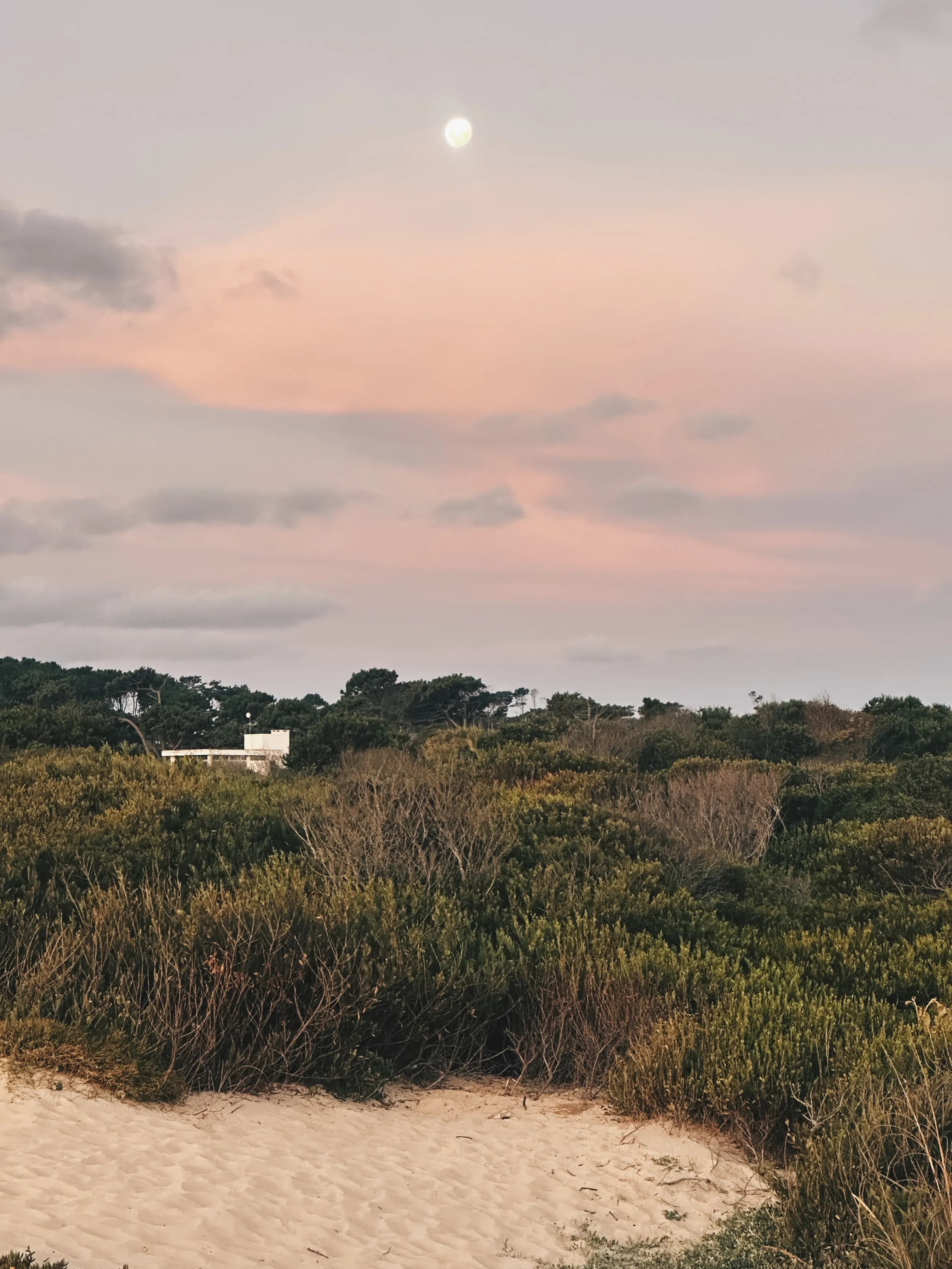 Playa Mansa José Ignacio