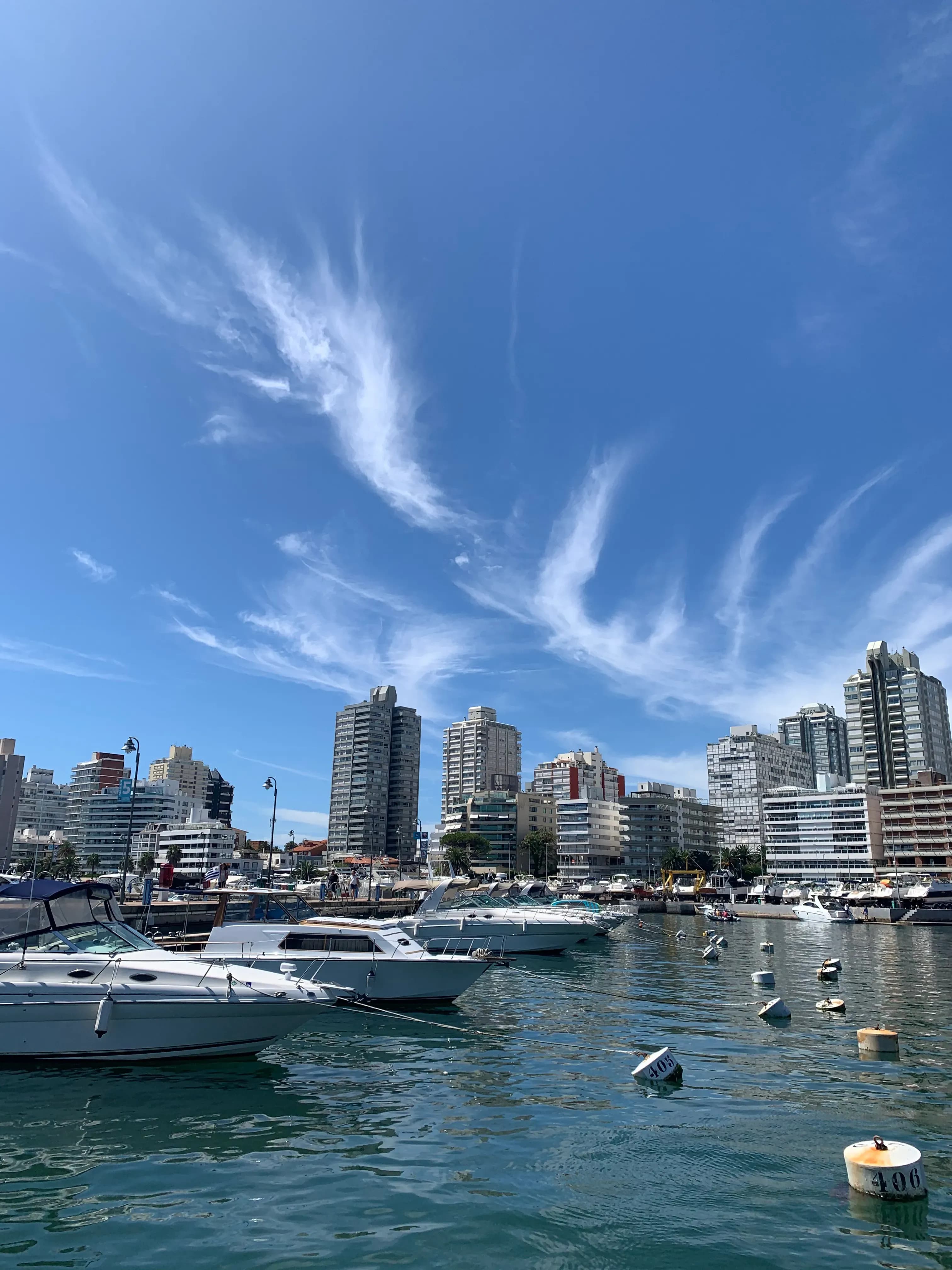 Puerto de Punta del Este