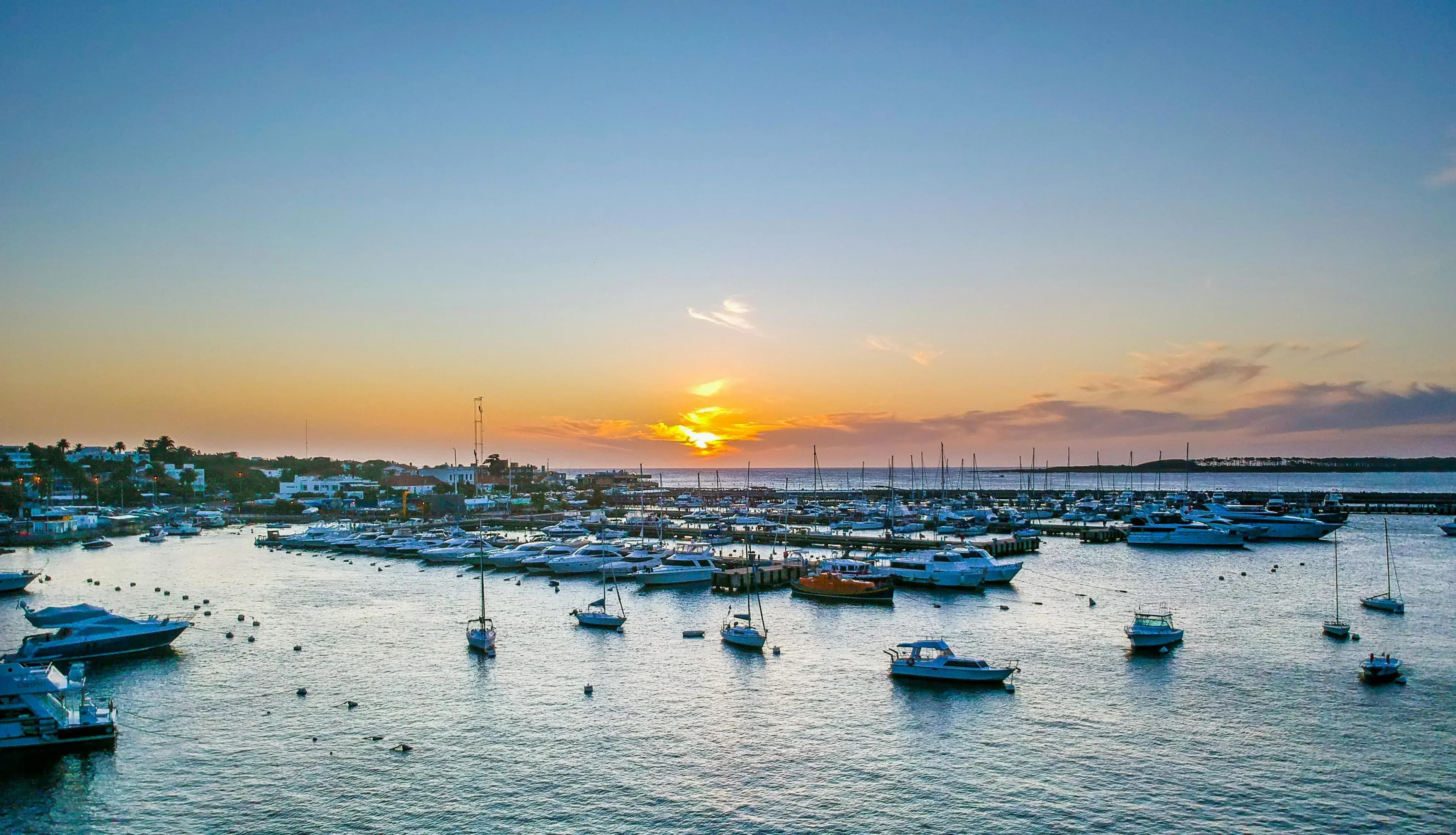 Puerto de Punta del Este