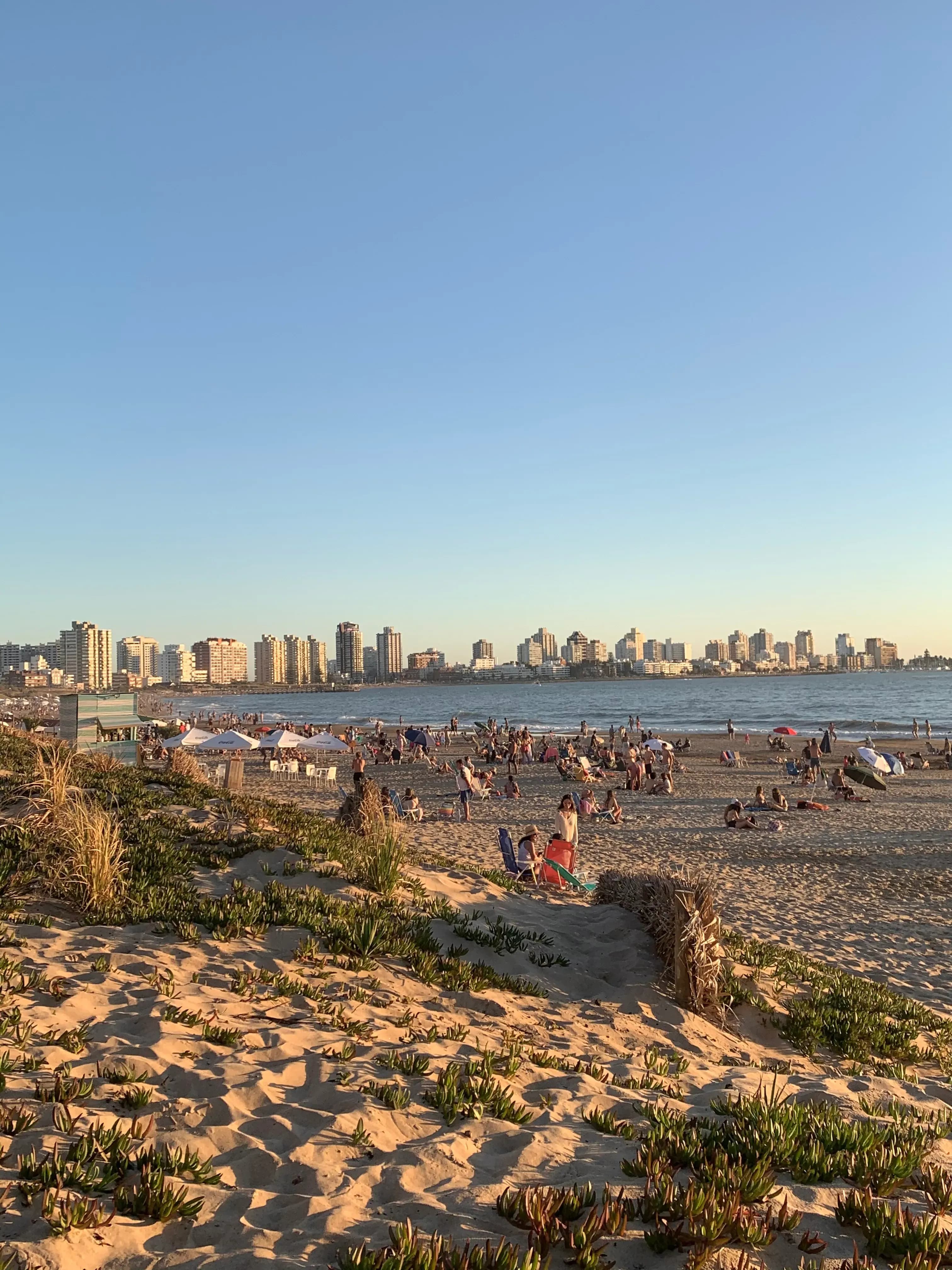 Playa Mansa Punta del Este