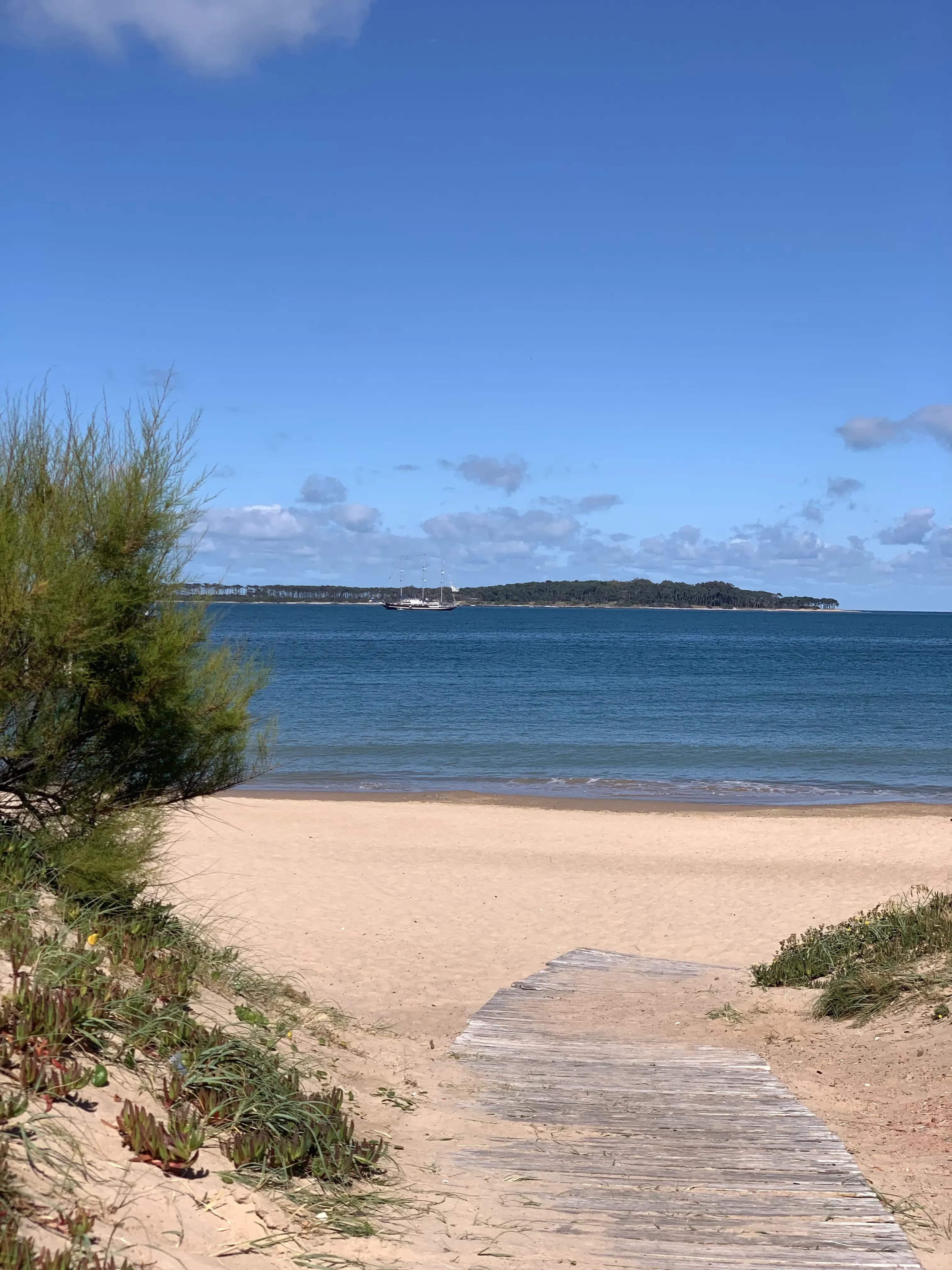 Playa Mansa Punta del Este